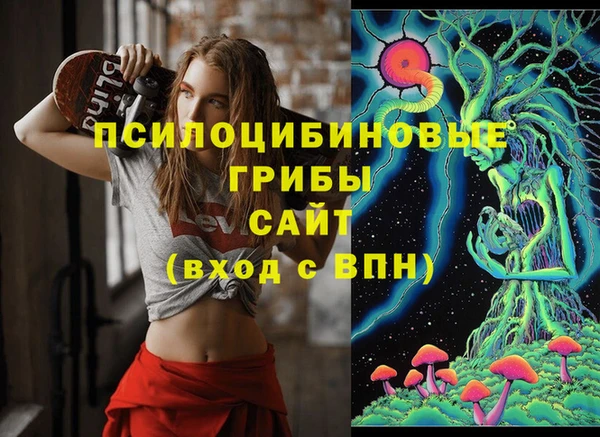 гидропоника Белоозёрский