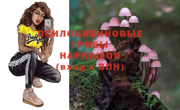 гидропоника Белоозёрский
