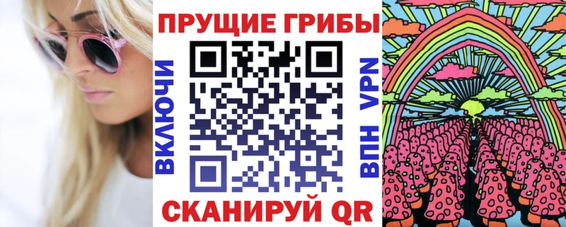 Псилоцибиновые грибы MAGIC MUSHROOMS  МЕГА зеркало  Павловск 